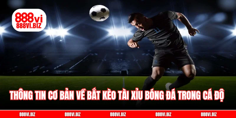 Thông tin cơ bản về bắt kèo tài xỉu bóng đá trong cá độ 